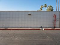 a small white brick building with palm trees around it with two red fire hydrant boxes on the ground next to it