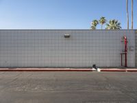 a small white brick building with palm trees around it with two red fire hydrant boxes on the ground next to it