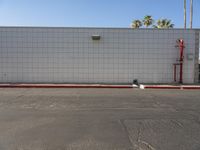 a small white brick building with palm trees around it with two red fire hydrant boxes on the ground next to it