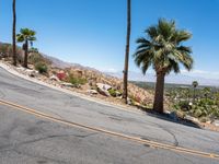 two palms and a road in the background, with mountains beyond them in palm desert area