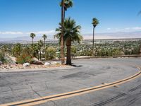 a paved roadway in the desert with palm trees in the background, near palm trees and mountains