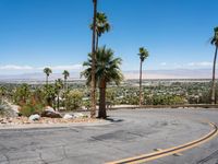 a paved roadway in the desert with palm trees in the background, near palm trees and mountains