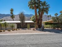 Palm Springs Modern Architecture: A Day in the Suburbs