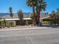 Palm Springs Modern Architecture: A Day in the Suburbs