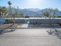 Modern Architecture in Palm Springs: A Daytime View