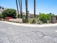 Palm Springs Modern Architecture in the Desert