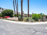 Palm Springs Modern Architecture in the Desert