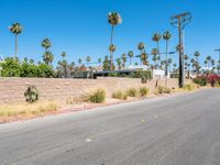 an empty street lined with palm trees in front of a fenced wall and street