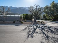 Palm Springs Modern Residential Architecture California 001