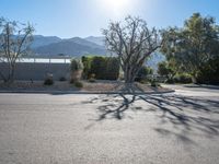 Palm Springs Modern Residential Architecture California 003