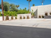 a empty parking lot in front of palm trees and buildings with a few bushes in front