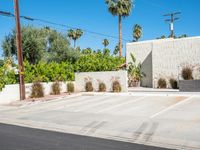 a empty parking lot in front of palm trees and buildings with a few bushes in front