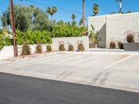 a empty parking lot in front of palm trees and buildings with a few bushes in front