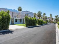 a driveway of a residential with palm trees, shrubs and mountain views in the background