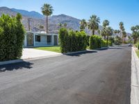 a driveway of a residential with palm trees, shrubs and mountain views in the background