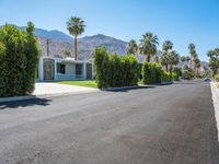 a driveway of a residential with palm trees, shrubs and mountain views in the background