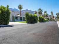 a driveway of a residential with palm trees, shrubs and mountain views in the background