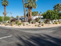 Modern Residential Street in Palm Springs