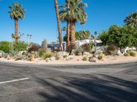 Modern Residential Street in Palm Springs