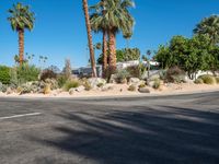 Modern Residential Street in Palm Springs