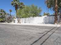 the person is riding a skateboard in front of a fence with palm trees on it