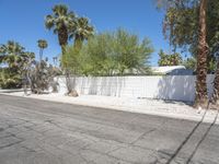 the person is riding a skateboard in front of a fence with palm trees on it