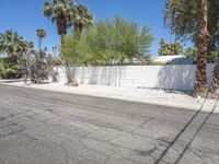 the person is riding a skateboard in front of a fence with palm trees on it