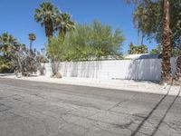 the person is riding a skateboard in front of a fence with palm trees on it