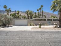 the exterior of a home in palm springs with a garage surrounded by trees and bushes