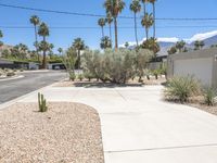 a parking lot with cacti plants and palm trees on a sunny day in palm springs, california