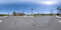 a wide angle picture of palm trees and parking lot in a big city parking lot