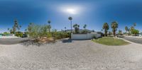 an empty driveway with palm trees and blue sky above it and there is a small house in the center of the picture