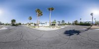 a fish eye lens of a residential street in palm trees at the end of the road