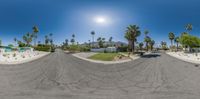 a 360 - turn panorama view of an open road in palm springs, florida with lots of palm trees