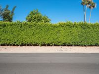 Palm Springs Road Under a Clear Sky