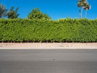 Palm Springs Road Under a Clear Sky