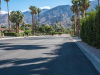 Palm Springs Road Modern Architecture 001