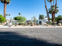 a large, modern home with a beautiful yard and palm trees surrounding it is situated at the front entrance to the community