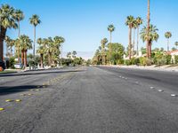 Palm Springs Suburban Road: A Modern Architecture Landscape