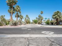 there is a crosswalk in the middle of the road with palm trees surrounding it