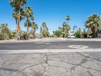 there is a crosswalk in the middle of the road with palm trees surrounding it