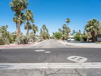 there is a crosswalk in the middle of the road with palm trees surrounding it