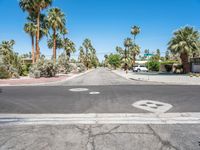 there is a crosswalk in the middle of the road with palm trees surrounding it