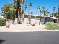 the front of a very modern house with lots of palm trees near it and a picnic table on the side of the driveway