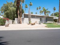 the front of a very modern house with lots of palm trees near it and a picnic table on the side of the driveway