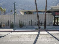 a man riding a skateboard down a sidewalk next to a parking lot next to palm trees