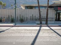 a man riding a skateboard down a sidewalk next to a parking lot next to palm trees