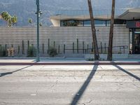 a man riding a skateboard down a sidewalk next to a parking lot next to palm trees