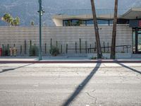 a man riding a skateboard down a sidewalk next to a parking lot next to palm trees