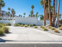 Palm Springs Villa: Concrete Surface